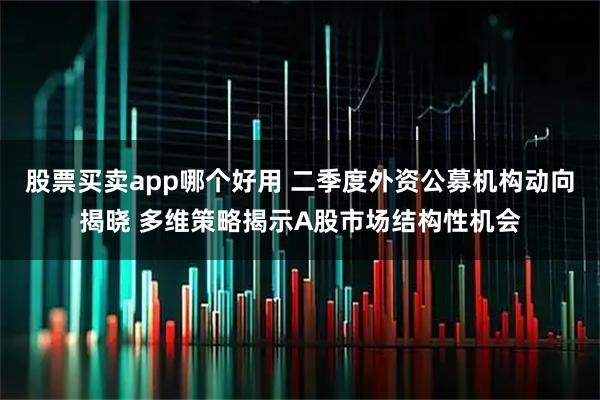股票买卖app哪个好用 二季度外资公募机构动向揭晓 多维策略揭示A股市场结构性机会