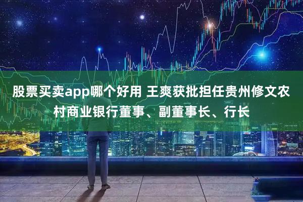 股票买卖app哪个好用 王爽获批担任贵州修文农村商业银行董事、副董事长、行长